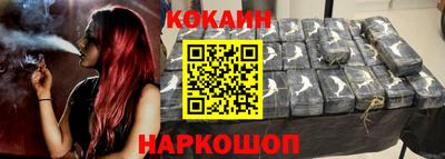 крисы Моздок
