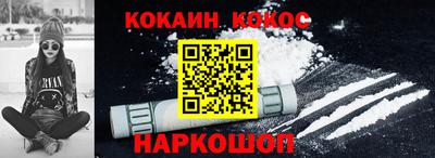крисы Моздок