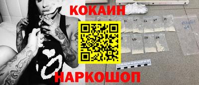крисы Моздок