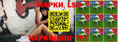 крисы Моздок
