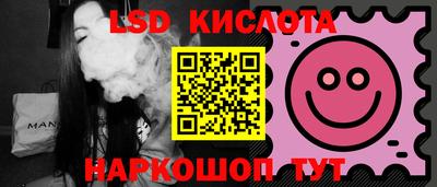крисы Моздок