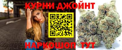 сатива Можга