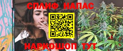 сатива Можга