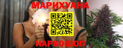 крисы Моздок